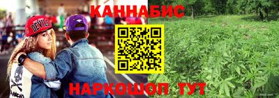 сатива Краснодар