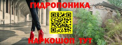 сатива Краснодар