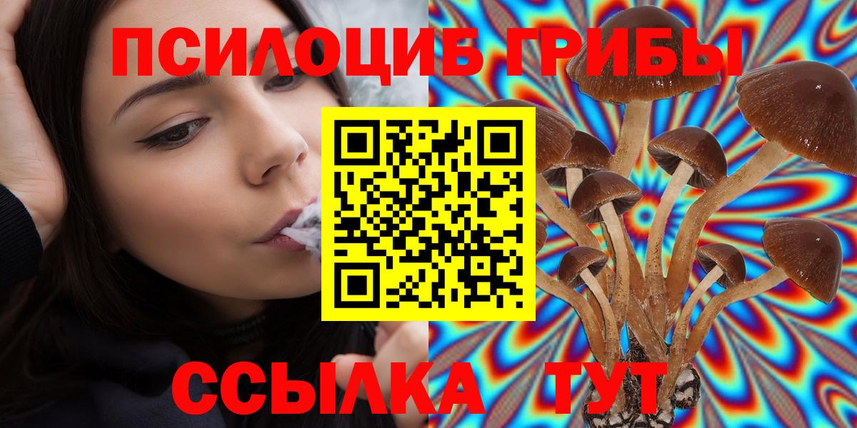 Псилоцибиновые грибы мухоморы Кириши